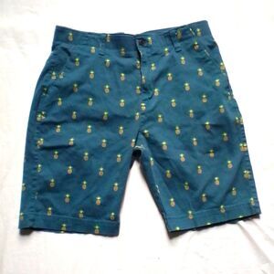 Plug Flex Mens Shorts Size 33 Blue Pineapple Tropical Print Chino Summer Casual